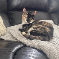 Photo of Bella