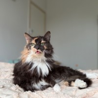 Photo of Dollie