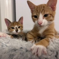 Photo of Cali And Rambo 🌈 