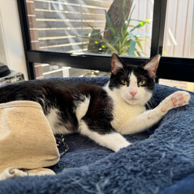 Photo of Wilhelmina (Wilma)