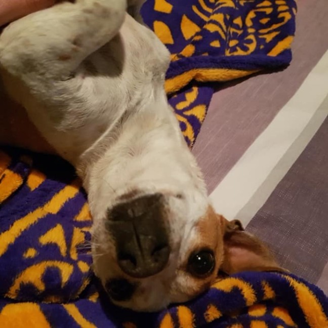 Photo of Lilly