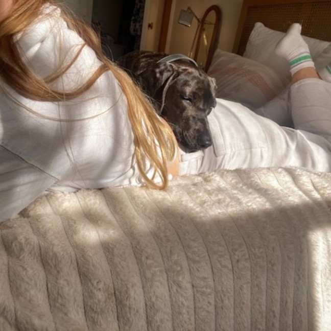 Photo of Elsa