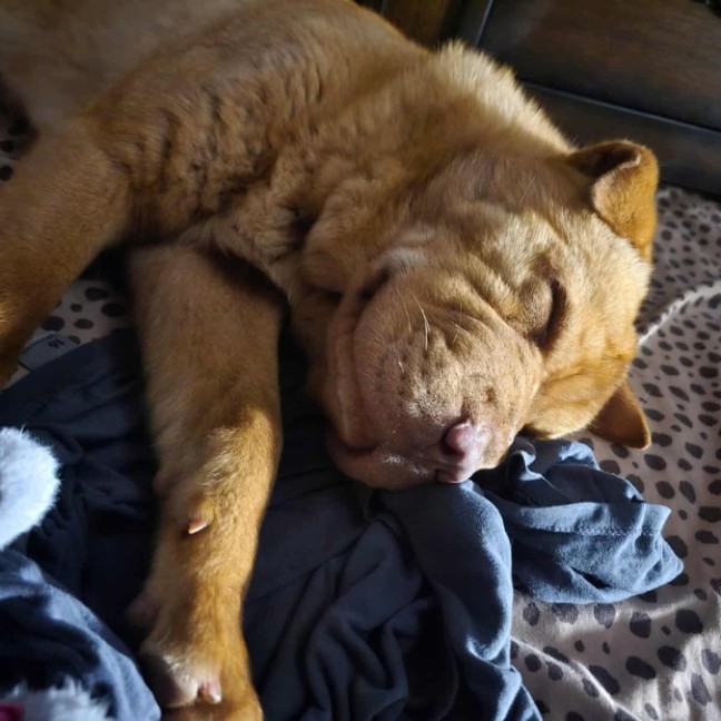 Photo of Wrinkles