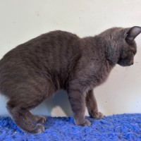 Photo of Seamus 🌈 