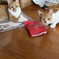 Photo of Eli & Peyton 