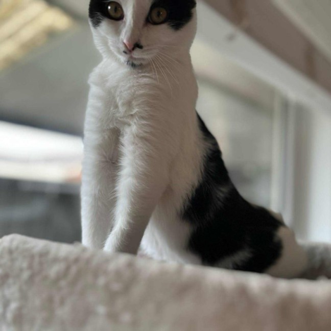 Photo of Plankton   Located In Frankston