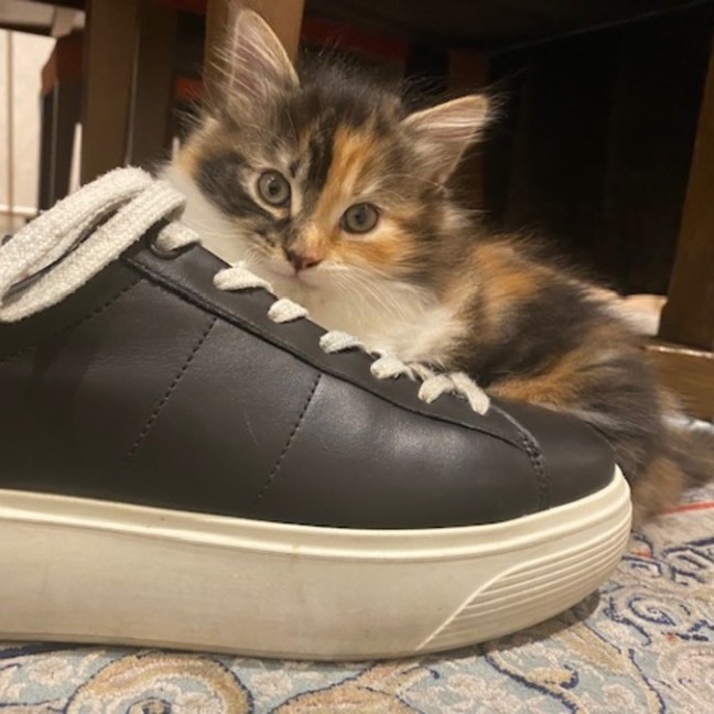 Photo of Maxine