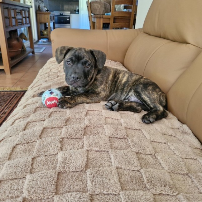 Photo of Reggie