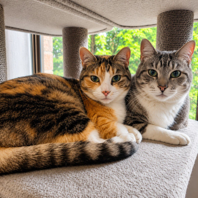 Photo of Prince & Princess