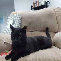 Photo of Tucker
