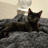 Photo of Cherry 🍒