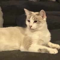 Photo of Ophelia