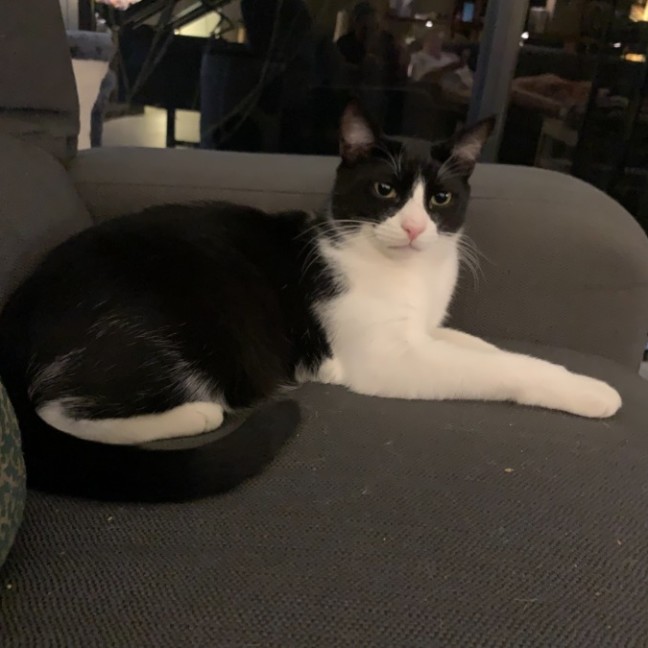 Photo of Jinx