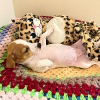 Photo of Jadie