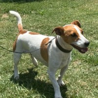 Photo of Sonny Jrt