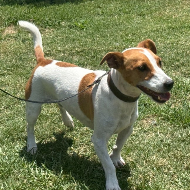 Photo of Sonny Jrt