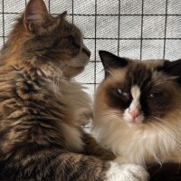 Photo of Molly And Maddox 