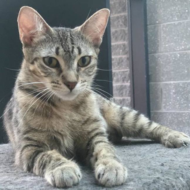 Photo of Ellie (Eleanor)