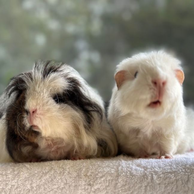 Photo of Taylor & Swift