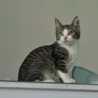 Photo of Eepy 