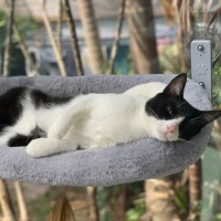 Photo of Jinx
