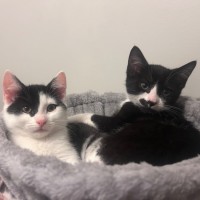 Photo of Parkway And James Bond 🥰