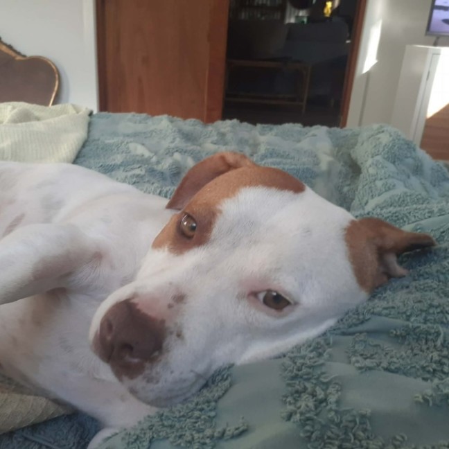 Photo of Rosie