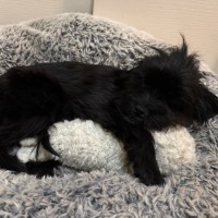 Photo of Libby