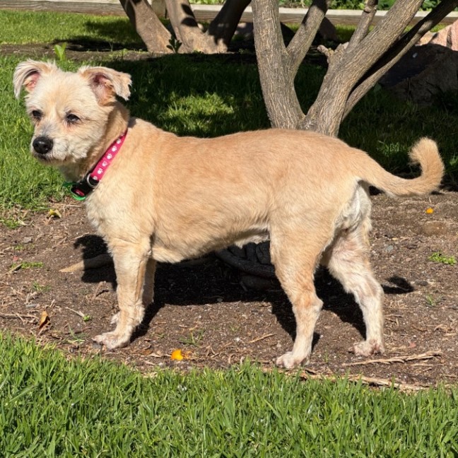 Photo of Betsy & Nigel