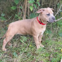 Photo of Lylah