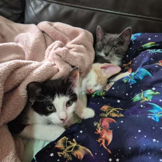 Photo of 🌙 Moon 🌙