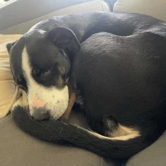 Photo of Charlie