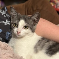 Photo of  Ranger 📣