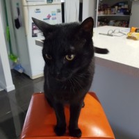Photo of Tucker