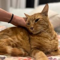 Photo of Sir Richard