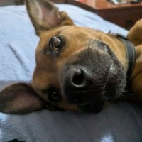 Photo of Sandy