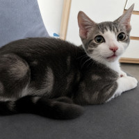 Photo of Dj