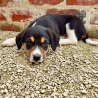 Photo of Ted 