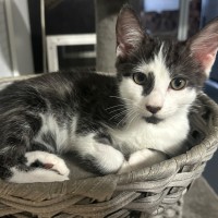 Photo of Kaleb 🧵😻