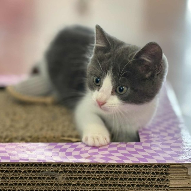 Photo of 💙 Kaycee 💙