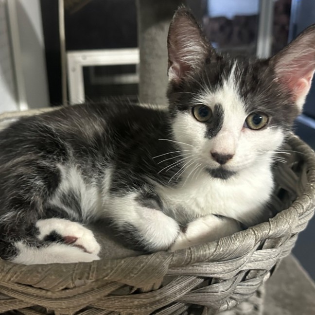 Photo of Kaleb 🧵😻