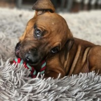 Photo of Colin