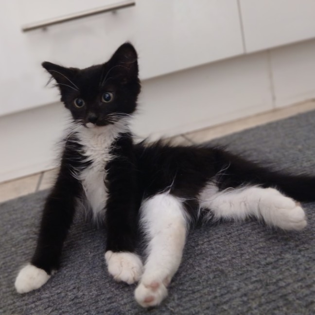 Photo of Fry & Leela 👾