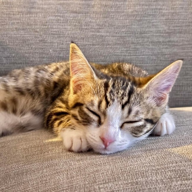 Photo of 😄 Marty 😄