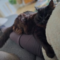 Photo of Clive   In Foster Care In Cheltenham