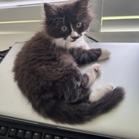Photo of Mumbo