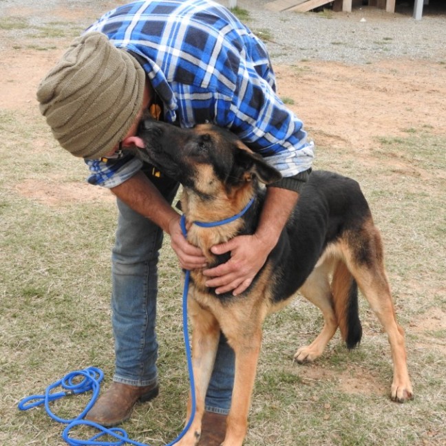 Photo of Bluey