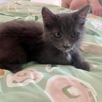Photo of Frey