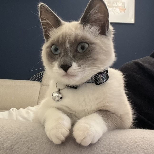 Photo of 💖 Evie 💖