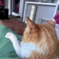 Photo of Tom